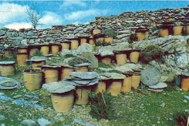 Abandoned apiary of vraski hives covered with stone slabs by K Savvakis